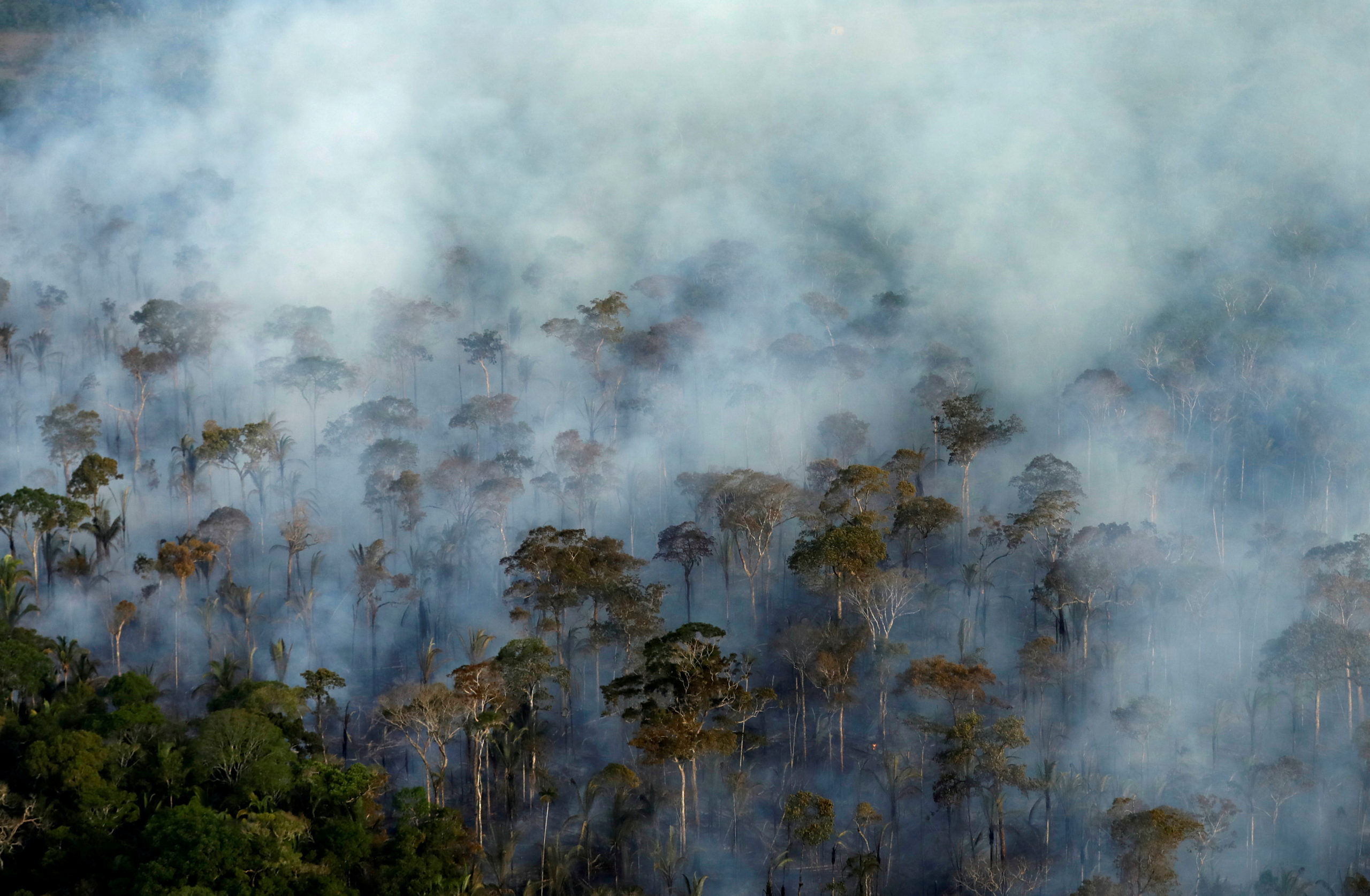 La déforestation de l'Amazonie à son plus haut niveau depuis 11 ans