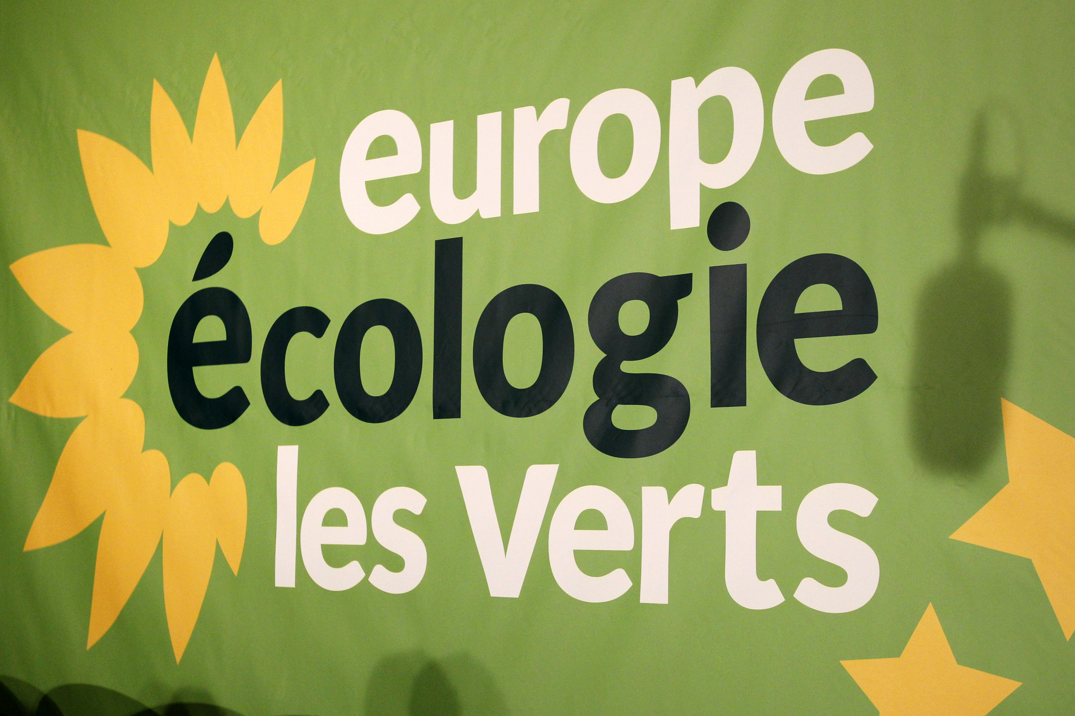 Europe Ecologie-Les Verts (EELV) a acté samedi, après un vote militant, sa volonté de mener une liste autonome aux élections municipales de Marseille en mars prochain, a-t-on appris auprès de la section locale du parti écologiste. /Photo d'archives/REUTERS/Stéphane Mahé