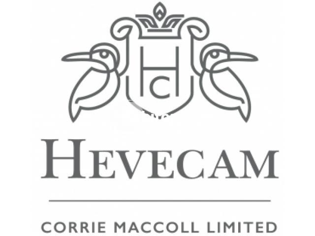 Cameroun : plus de 1000 employés licenciés par Hevecam frappée par la crise liée à la pandémie de covid-19