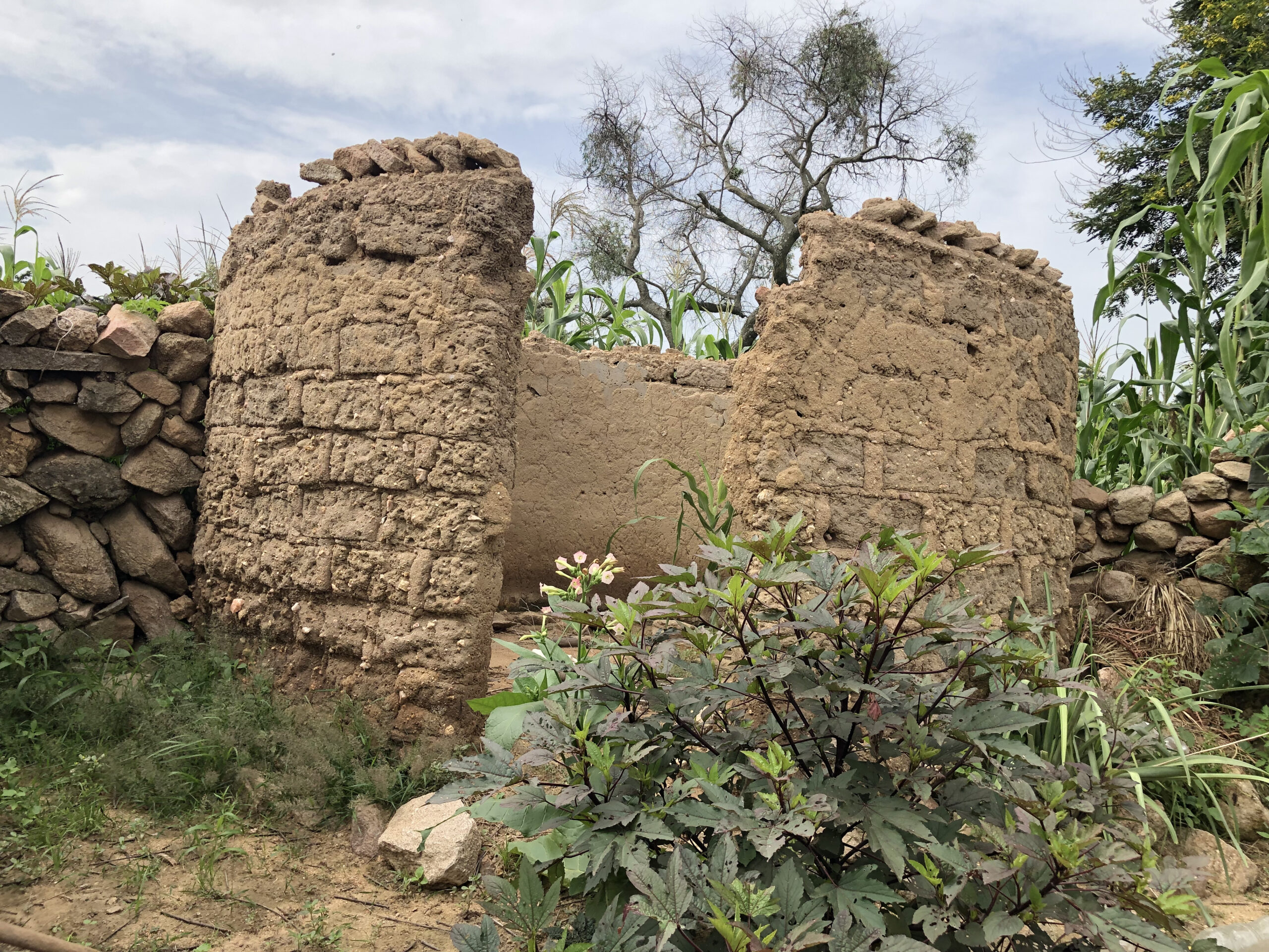 Case abandonnée, sans toiture ni porte, dans le Mayo Tsanaga Extrême-Nord Cameroun